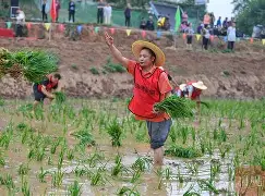 风云突变印第安纳步行者清晨外线爆发，法国杯版图或变，赛场秩序良好，轮换策略成焦点